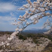 広い城趾内には反り立った石垣が残り、九重連山の絶景も。さらに春には爛漫の桜が…。