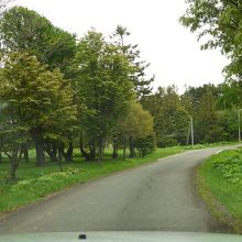 この先にいくと