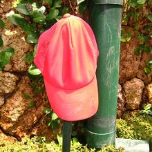 これが問題の帽子