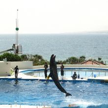 オキちゃんショー　無料