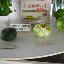 マナティーの食事内容