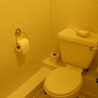 英トイレは、何度もレバーをゴシゴシしないといけない場合が多い