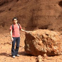 公園内を散策中です！