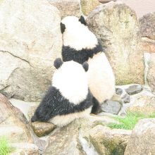 海浜・陽浜のうしろ姿　水飲み場にて