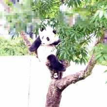 海浜・陽浜の運動場を2階から見た場合