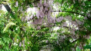 広大な敷地の宮殿＆庭園はハイキング気分で