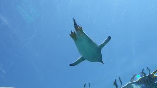 意外とさくっとまわれました