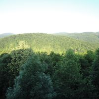 テラスからの景色