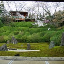 桜の風景