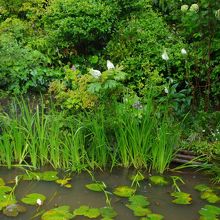 地中美術館までにあるモネの庭園