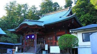 ～静かな境内に響く合唱～モリアオガエルの生息地　清澄寺