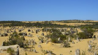ピナクルズだけでなく砂丘も楽しめて充実！
