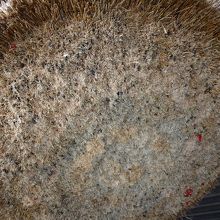 小銭が刺さっています