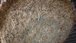 テレビや雑誌でみたままのしめ縄