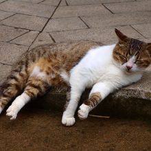 よく寝ていました