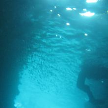 写真ではなかなか表現できませんが