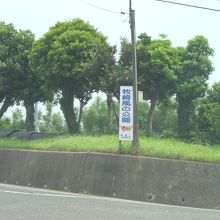 この案内を左へ。