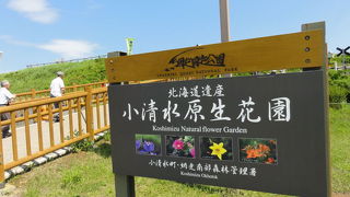 オホーツク海と濤沸湖を見渡せる花園