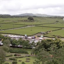 周囲に広がるお茶畑