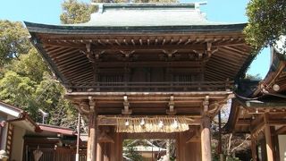 景色が素晴らしい