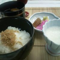 〆のとろろご飯