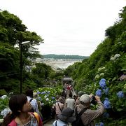 紫陽花もいいけどロケ-ションが抜群です