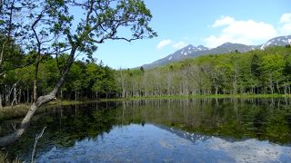 知床五湖で自然のサイクルを知る！