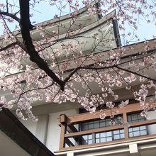 桜が満開の時期、散歩がてらに山登りは如何ですか？