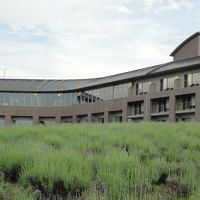 広い敷地でのんびり過ごしましょう。