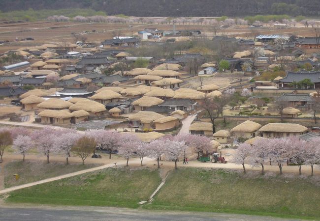 藁ぶき屋根のおうちがおとぎの国のようでかわいい・・・・・・・