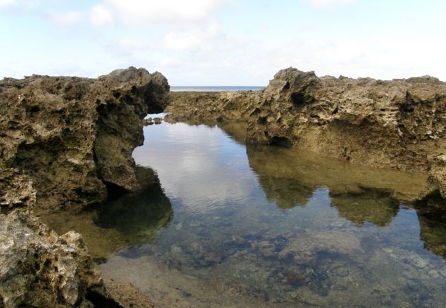 熱帯魚の家 クチコミ アクセス 営業時間 久米島 フォートラベル 熱帯魚の家 クチコミ アクセス 営業時間 久米島 フォートラベル