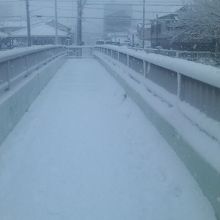 雪の香月人道橋