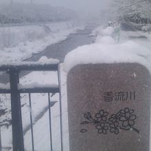 橋の欄干には桜が描かれていますが、大雪です