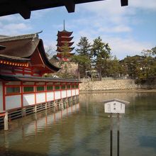 厳島神社から見えます