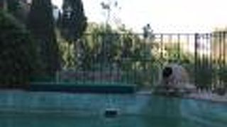 Alavera de los Banos