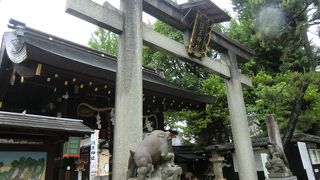 猪いっぱいな京都御所近くの護王神社