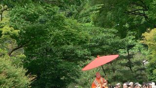 智積院では6月15日に「青葉まつり)が行われます。