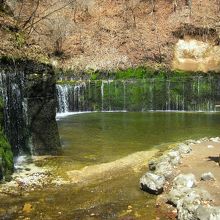 夏や秋も見てみたい！