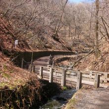 こんな小さな橋も渡ります。