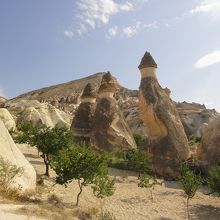 キノコッコッコ♪