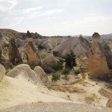 キノコいっぱい！