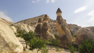 キノコ！キノコ！キノコ！