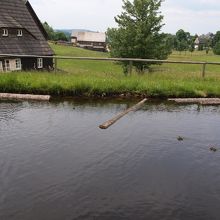 中央の木より左が博物館。右は民家。見分けられません。