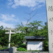 自然たっぷりの神社