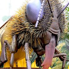 コンサバトリー・オブ・フラワーズにあった巨大昆虫。