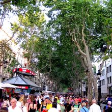 お昼頃から夜遅くまで賑わっています。