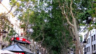 歩行者天国♪人も多いが大道芸人もスリ・引ったくりも多い！