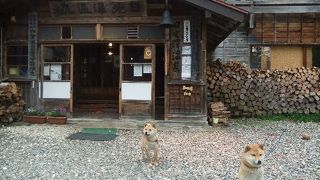 可愛い犬たちが迎えてくれる山奥の秘湯