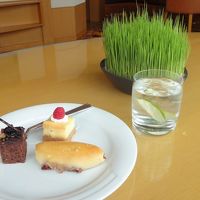 プチケーキの種類も豊富