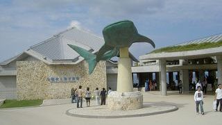 沖縄のみならず、日本を代表する水族館